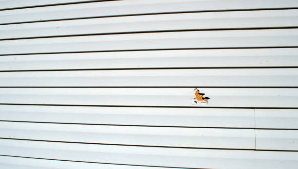 Trusted Mcgaheysville, VA Siding Installation & Repair Experts