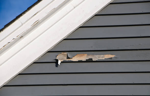 Affordable siding repair and maintenance services in Mcgaheysville, VA
