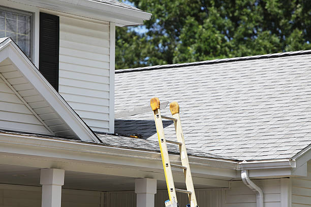 Best Custom Siding Design  in Mcgaheysville, VA